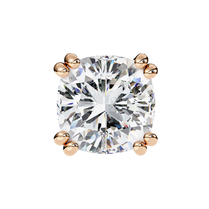 Cove Stud Earrings