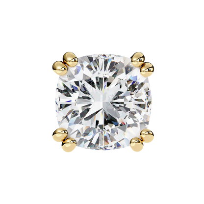 Cove Stud Earrings