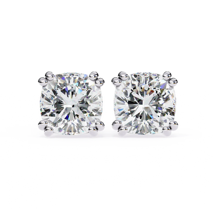 Cove Stud Earrings