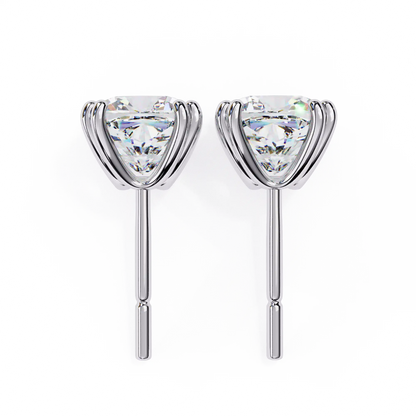Cove Stud Earrings