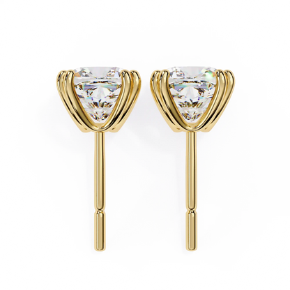 Cove Stud Earrings