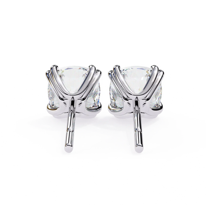 Cove Stud Earrings
