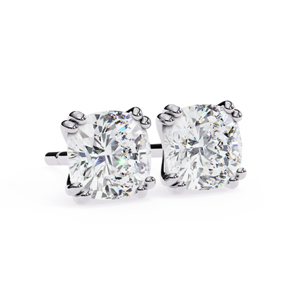 Cove Stud Earrings