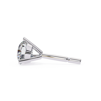 Cove Stud Earrings