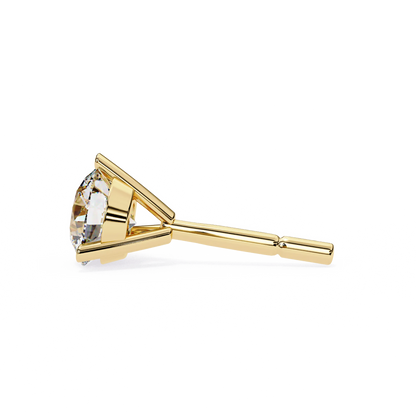 Cove Stud Earrings